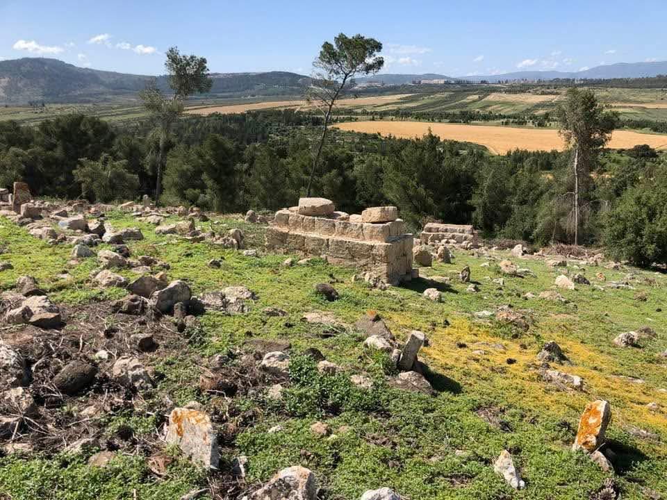 قرية لوبية / مدينة طبريا، عدسة إياد جابر